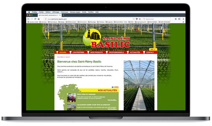 Aperçu du site Saint-Rémy Basilic sur ordinateur portable – producteur de plantes aromatiques en pot en Provence