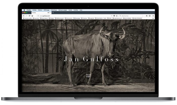 Visuel du site de l’artiste Jan Gulfoss présenté sur un ordinateur portable Apple – création de site artistique