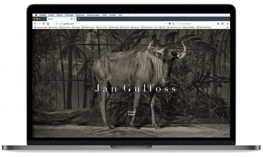 Création du site de l’artiste Jan Gulfoss à Saint-Rémy de Provence