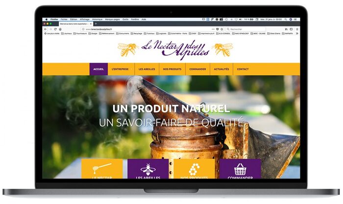 Création du site du Nectar des Alpilles, apiculteurs à Mas-Blanc